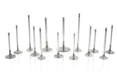 Photo - Primary